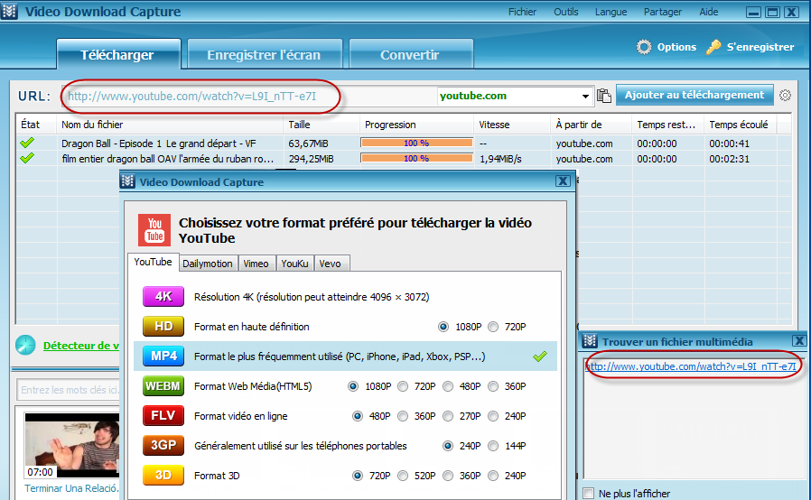 telecharger flv gratuit français