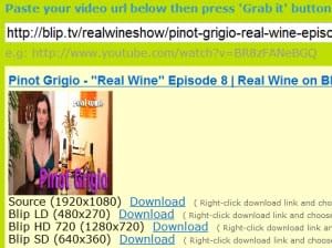Grab and download videos from Blip Blip episode downloader